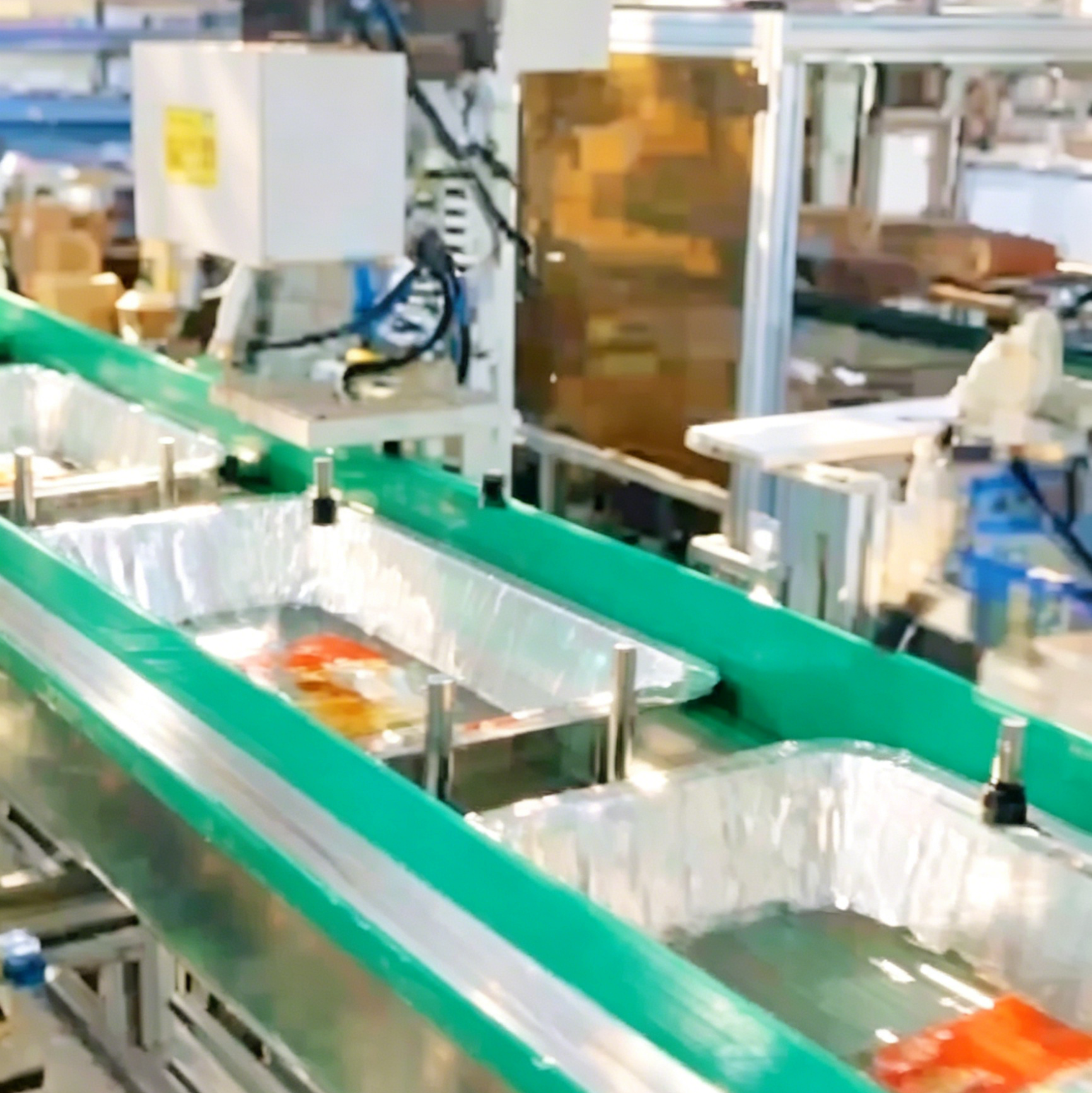 Labeling & Sorting Machine